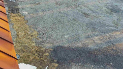 Nástup na běžecké tratě