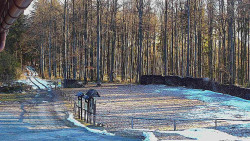 Nástup na běžecké tratě