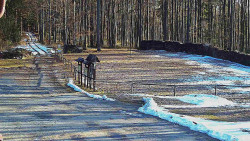 Nástup na běžecké tratě