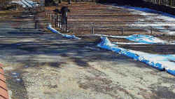 Nástup na běžecké tratě