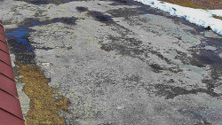 Nástup na běžecké tratě