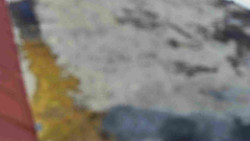 Nástup na běžecké tratě