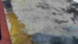 Nástup na běžecké tratě