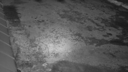 Nástup na běžecké tratě