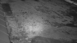 Nástup na běžecké tratě