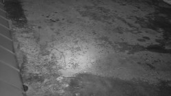 Nástup na běžecké tratě