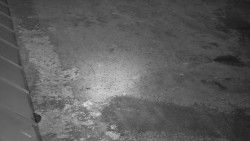 Nástup na běžecké tratě