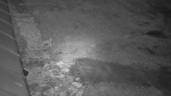 Nástup na běžecké tratě