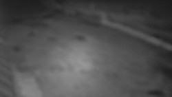 Nástup na běžecké tratě