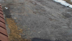 Nástup na běžecké tratě