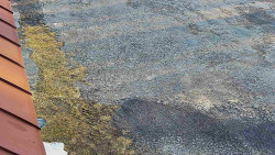 Nástup na běžecké tratě