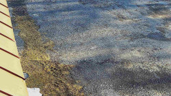 Nástup na běžecké tratě