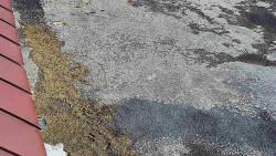 Nástup na běžecké tratě