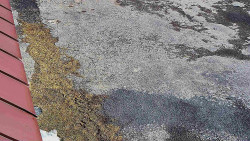 Nástup na běžecké tratě