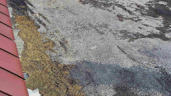 Nástup na běžecké tratě