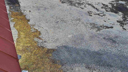 Nástup na běžecké tratě