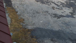 Nástup na běžecké tratě