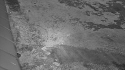 Nástup na běžecké tratě