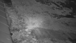 Nástup na běžecké tratě