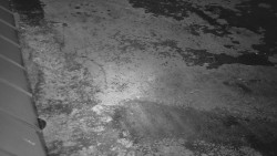 Nástup na běžecké tratě