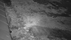 Nástup na běžecké tratě