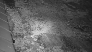 SkiAreál - Horský hotel Vsacký Cáb - Nástup na běžecké tratě - 28.2.2026 v 02:15 SkiAreál - Horský hotel Vsacký Cáb - Nástup na běžecké tratě - 28.2.2026 v 02:15