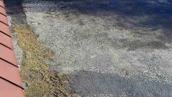 Nástup na běžecké tratě