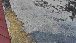 Nástup na běžecké tratě