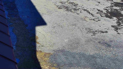 Nástup na běžecké tratě