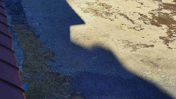 Nástup na běžecké tratě