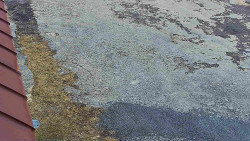 Nástup na běžecké tratě