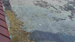 Nástup na běžecké tratě