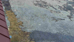 Nástup na běžecké tratě