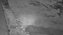 Nástup na běžecké tratě