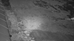 Nástup na běžecké tratě