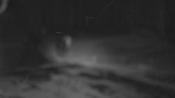 Nástup na běžecké tratě