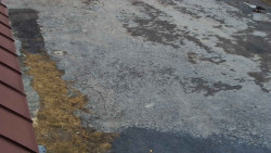 Nástup na běžecké tratě