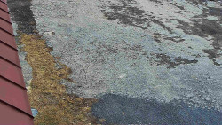 Nástup na běžecké tratě