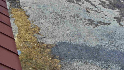 Nástup na běžecké tratě