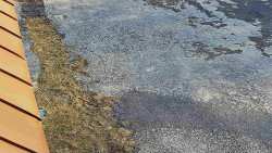 Nástup na běžecké tratě