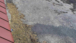 Nástup na běžecké tratě