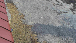 Nástup na běžecké tratě