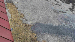 Nástup na běžecké tratě