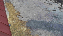 Nástup na běžecké tratě