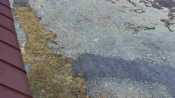 Nástup na běžecké tratě