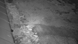 Nástup na běžecké tratě