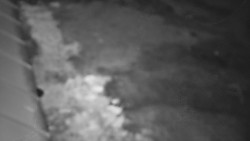 Nástup na běžecké tratě