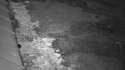 Nástup na běžecké tratě