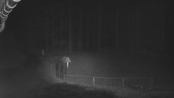 Nástup na běžecké tratě