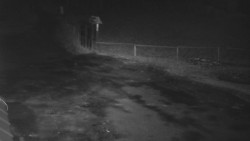 Nástup na běžecké tratě